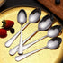 HANSGO Teaspoons Stainless Steel, 6 Piece Dinner Spoons Set, 6.7 inches for Home Kitchen or Restaurant