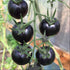20 Rare Black Tomato Seeds for Planting Around Seeds