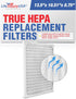 Air Cleaner Filter Replacement for Hunter 30920 30905 30050 30055 30065 30075 30080