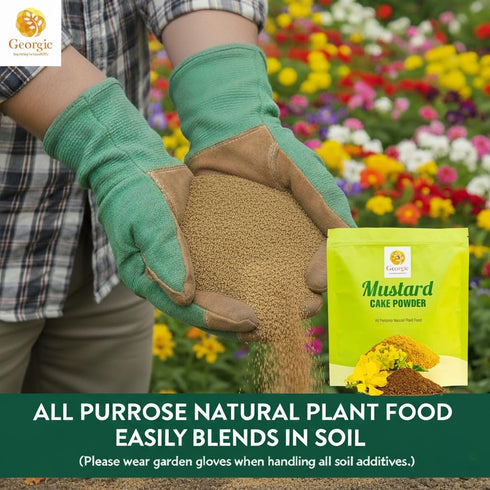 (3 lb) Mustard Oil Cake Powder All-Purpose Natural Fertilizer for Flowers, Vegetables, Herbs, Fruit Trees & Plants