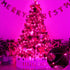 Ranlraka 20 Wine Bottle Lights with Cork Mini Fairy String Lights Battery Operated LED Pink Fairy Lights Party