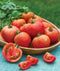 Burpee 'Early Girl',Slicing Tomato, 50 Non-GMO Seeds