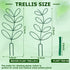 2 Packs 50 AUGSUN Plant Trellis Garden Trellis Plant Stakes Trellis for Climbing Plants Indoor Plants Metal Leaf Shape
