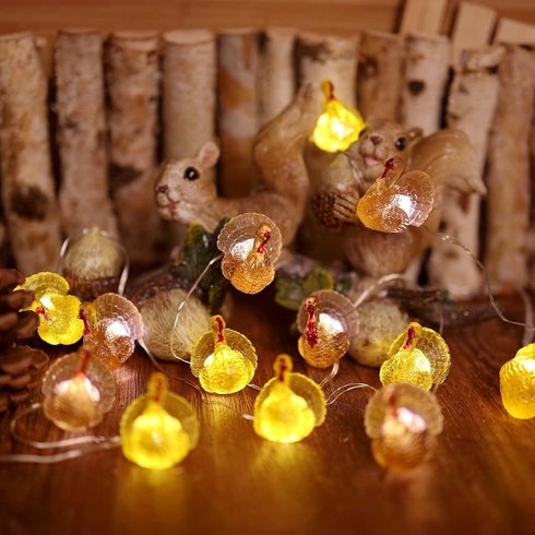 3D 8ft 20 JASHIKA Fall Harvest Turkey String Lights, Cute Decorative Lights Copper Wire LEDs Battery Powered