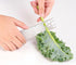 Herb Stripper Stainless Steel Tool, Metal Peeler for LooseLeaf Kale, Chard, Collard Greens, Thyme, Basil, Rosemary