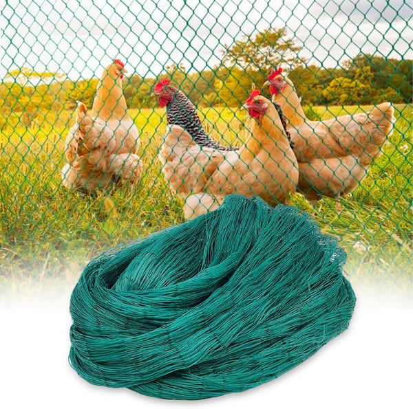 Bird Netting for Chicken Coop, Poultry Netting Over Chicken Run & Chicken