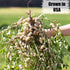 Old Potters 10 lbs Wildlife Shelled Peanuts, for Birds, Squirrels, and Wildlife. USA Grown Non-GMO, Organic Small Farm