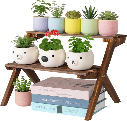 2 Tier Small Wood Plant Stand for Desktop, X-Frame Windowsill Plant Shelf