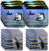Havercamp Gone Fishing Birthday Party Decorations, Plates and Napkins for 16 Guests Fishing Retirement Supplies