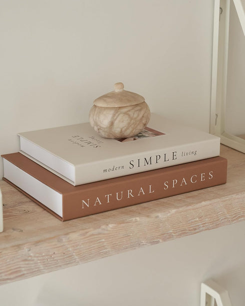 Set 2 Beautiful Decorative Books - of Boxes Enhance Your Coffee Table, Bookshelf or Mantel Shelf Decor - Aesthetic