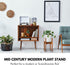 8 Inch Fox & Fern Mid Century Plant Stand Fixed Size Wooden Plant Stand for Indoor Planters (Not Included) - Raised