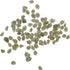 (1 Pack) Seed Needs Tomato Seeds for Planting Indeterminate True Beefsteak Tomatoes - Non-GMO Heirloom & Untreated