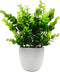 OFFIDIX Mini Eucalyptus Plants with Vase for Office Desk, Fake Plant with Plastic Pots for Home and Shower Room