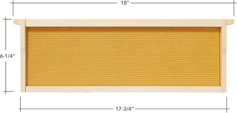 10 6-1/4 inch Honey Keeper Assembled Beehive Frames with Waxed Natural Foundations for Beekeeping