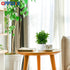 OFFIDIX Small Artificial Eucalyptus Plants with White Square Vase, Fake Plants for Home and Office Desktop Decor
