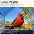 Window Bird Feeder with Strong Suction Cups, Fits Cardinals, Finches, and Chickadees