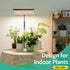 LBW 4/8/12H 10"-26" 6 Desk Grow Light, Full Spectrum Plant Light for Indoor Plants, Grow Lamps with Timer, Height