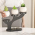 3 Bamboo Tabletop Plant Stand Indoor, Tier Wood Desktop Small Plant Shelf Window Sill Flower Holder Mini Tiered Plant