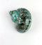 Worlds Large Polished Green Jade Turbo Sea Shells&Hermit Crab Sea Shells,Turbo Shells 3-1/2"~4"