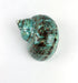 Worlds Large Polished Green Jade Turbo Sea Shells&Hermit Crab Sea Shells,Turbo Shells 3-1/2"~4"