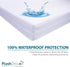 PlushDeluxe Queen Size Premium Mattress Encasement - Waterproof, Bedbug Proof, 6-Sided Protection
