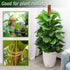 Soupiar 2-Pack 28" (13.2ft Bendable Moss Pole for Monstera, Rust-Free Aluminum Core Plant Support Stakes, Sturdy Stakes