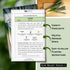 Packet (2) Sow Right Seeds - Giant Leek Seeds for Planting - Non-GMO Heirloom with Instructions to Plant and Grow an