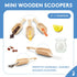 Small Wooden Teaspoon Scoops for Food Canisters & Jars, Mini Measuring Spoons, Pack of 10 by Woodpeckers