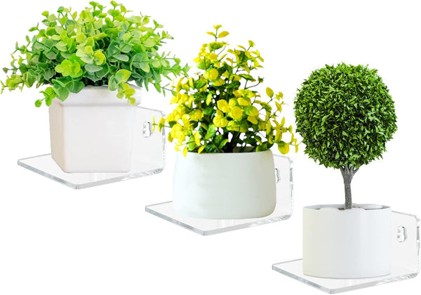 Bigfety Acrylic Small Floating Shelves for Wall, 3-Ledges Clear Mini Display Floating Shelf with Adhesive or Screw
