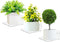Bigfety Acrylic Small Floating Shelves for Wall, 3-Ledges Clear Mini Display Floating Shelf with Adhesive or Screw