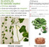 20 6.56FT suddus Fake Vines with Lights Battery Operated, LED Ivy Garland Fairy Lights with Timer, Leaf String Lights