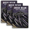 Royal Burgundy Bush Bean Seeds for Planting - Plant & Grow Stringless