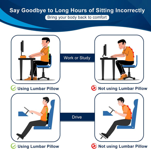 QUTOOL Lumbar Support Pillow for Office Chair, Memory Foam Low Back Support for Car, Ergonomic Back Cushion