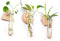 MITIME Wall Hanging Planter Glass Plant Propagation Station,Geometric Wooden Stand for Home