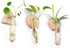 MITIME Wall Hanging Planter Glass Plant Propagation Station,Geometric Wooden Stand for Home