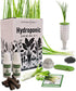 Tokyo Long White Bunching Green Onion Hydroponic Growing Kit Grow Japanese Bunching