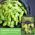 (3 Packs) Midori Giant Soybean Seeds for Planting - Grow Protein-Rich Edamame Pods in Your Home Vegetable Garden