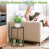 1 16 Inch iDavosic.ly Tier Corner Plant Stand Indoor, Tall Vertical Metal Flower Heavy Duty Pot Holder Shelf Outdoor