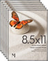 MANTELLO ESSENTIALS 8.5 x 11 Picture Frame 6 PACK, Front Loading Frames for Pictures, Documents, Certificates