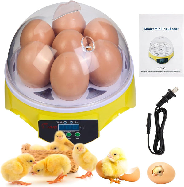 7-Egg Mini Egg Incubator with 360 View, Educational Hatching Kit for Kids,