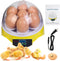7-Egg Mini Egg Incubator with 360 View, Educational Hatching Kit for Kids,
