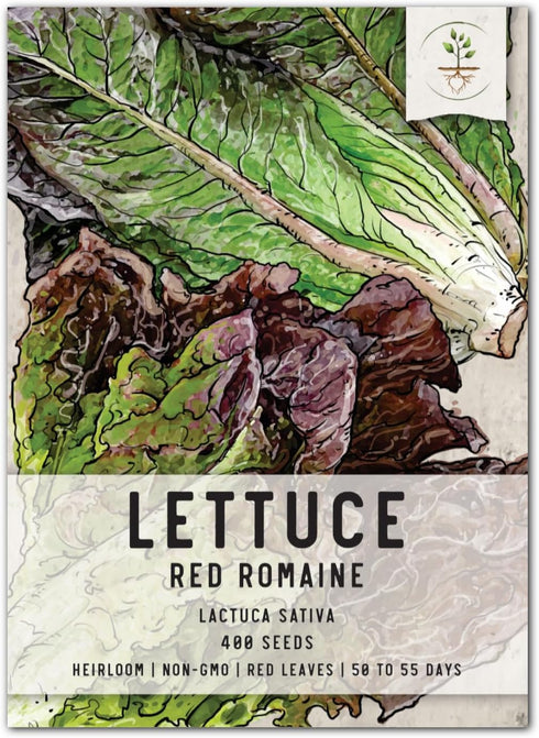 Seed Needs, Red Romaine Lettuce Seeds - 400 Heirloom Seeds for Planting