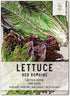 Seed Needs, Red Romaine Lettuce Seeds - 400 Heirloom Seeds for Planting