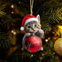 OFDNE Decoration,10Pcs Christmas Tree Christmas Tree Acrylic Pendant, Cute Cat with Light Xmas Tree Accessories