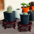 2 4 12 Decor(6 Inch) Geetery Pcs to in Wooden Plant Stands Indoor Chinese Oriental Plant Stand for Vase Fishbowl Flower