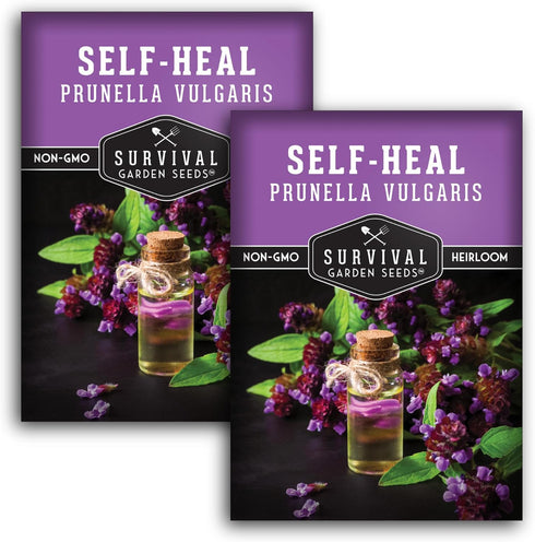 Self-Heal Seeds for Planting - Prunella Vulgaris (All-Heal, Selfheal) Hardy Perennial Ground