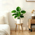 YUZUKYAUY 3 Pack 3 Pack) Plant Stand Indoor Outdoor Mid-Century Modern Plant Stool Wooden Plant Pot Holder Home Decor