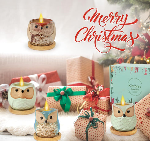 Citronella Candles Outdoor Gift Ideas, 6x3.5oz Novelty Owl Soy Candles for Garden, Porch, Outdoor Décor