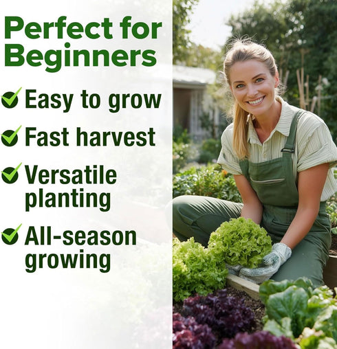 20 21,700+ Pack (20 HOME GROWN Variety Lettuce Seeds Bulk Heirloom Non-GMO High Germination, Romaine, Butterhead