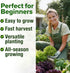 20 21,700+ Pack (20 HOME GROWN Variety Lettuce Seeds Bulk Heirloom Non-GMO High Germination, Romaine, Butterhead
